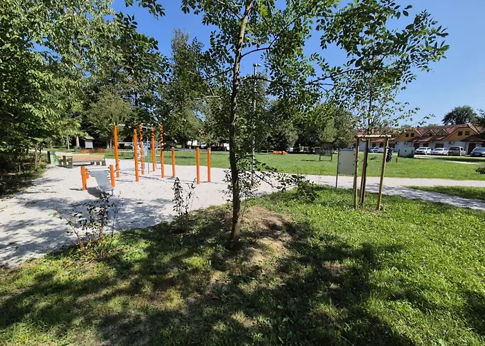 Daire Marjetica 40 *